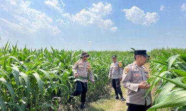 Polisi-Cinta-Petani-Kawal-Program-Ketahanan-Pangan-di-Krembung